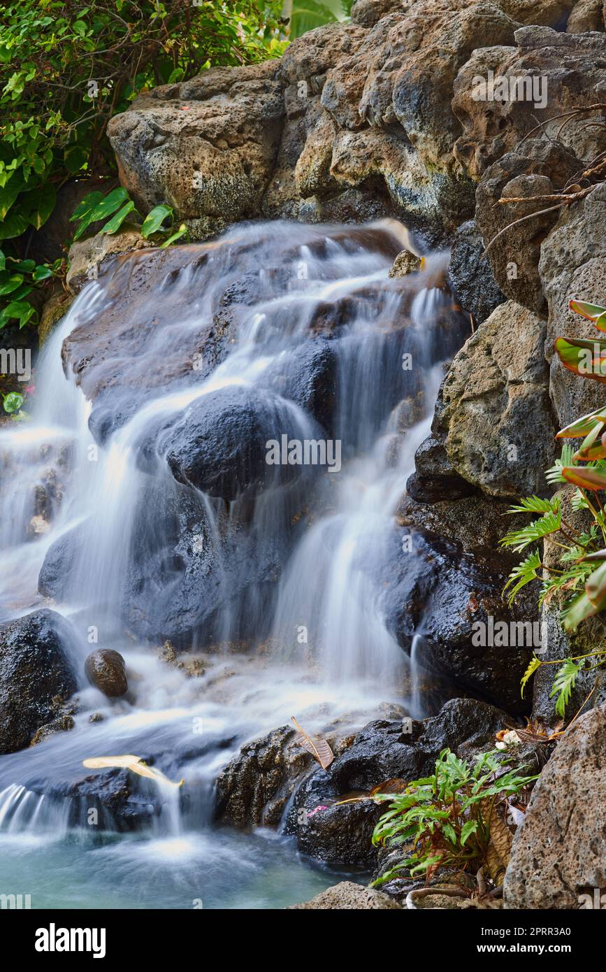 Kleine Wasserfälle und Flüsse im Dschungel. Bäume, Flüsse und kleine Wasserfälle des Regenwaldes - Hawaii, USA. Stockfoto