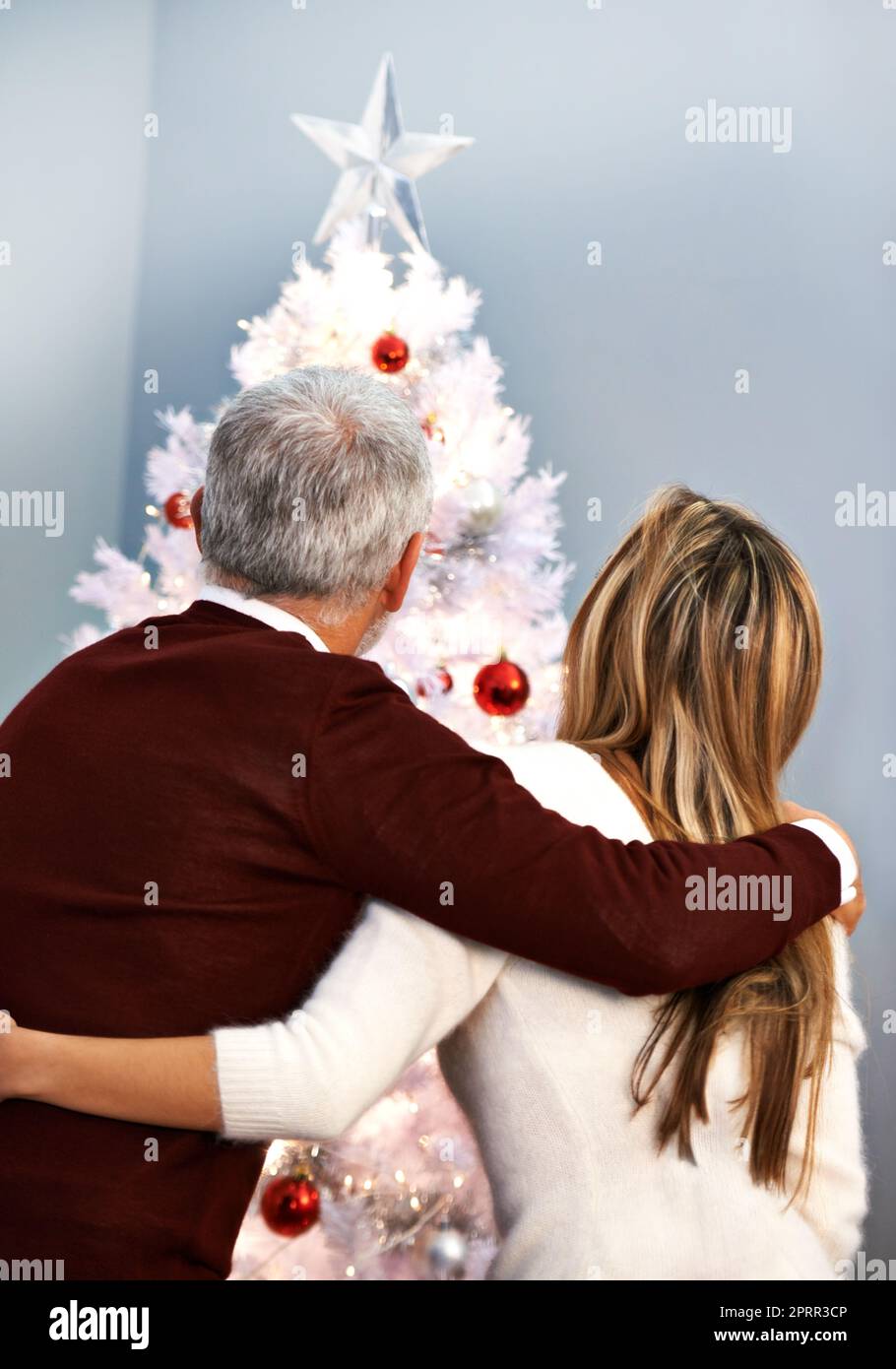 Kostbare Familienmomente zur Weihnachtszeit. Rückansicht eines Paares, das sich an seinem Weihnachtsbaum festklebte. Stockfoto