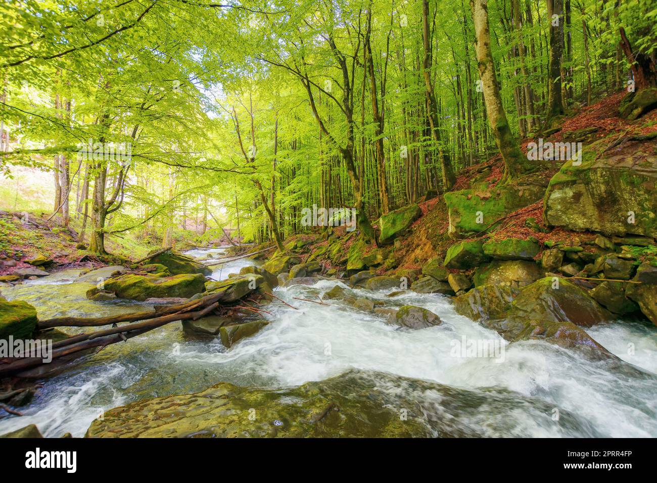 Bach im Park inmitten von Steinen. Naturlandschaft im Frühling. Ökologie und Süsswasserkonzept Stockfoto