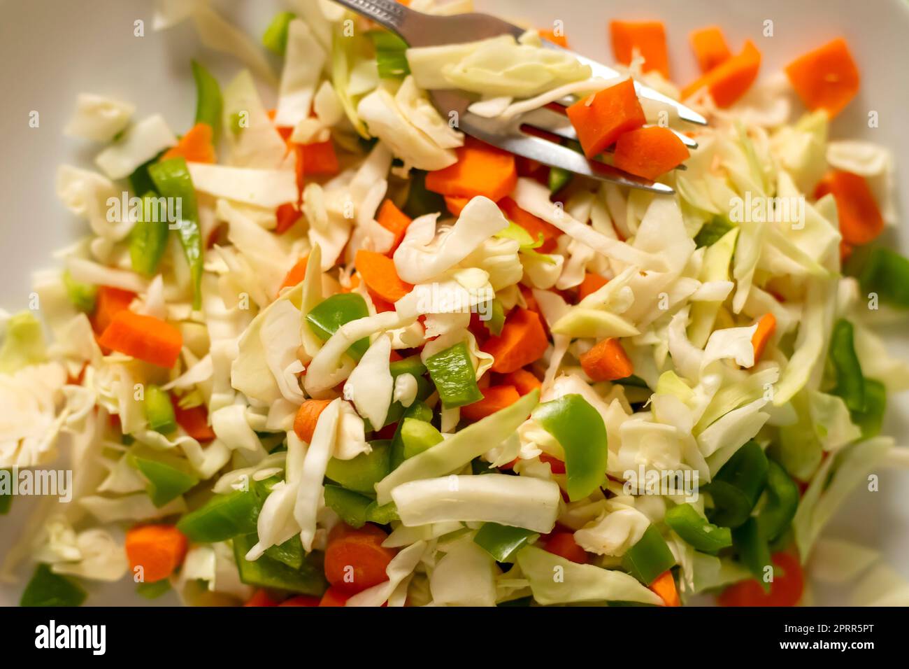 Frischer grüner gemischter Salat. Gesunder und vegetarischer Essensstil Stockfoto