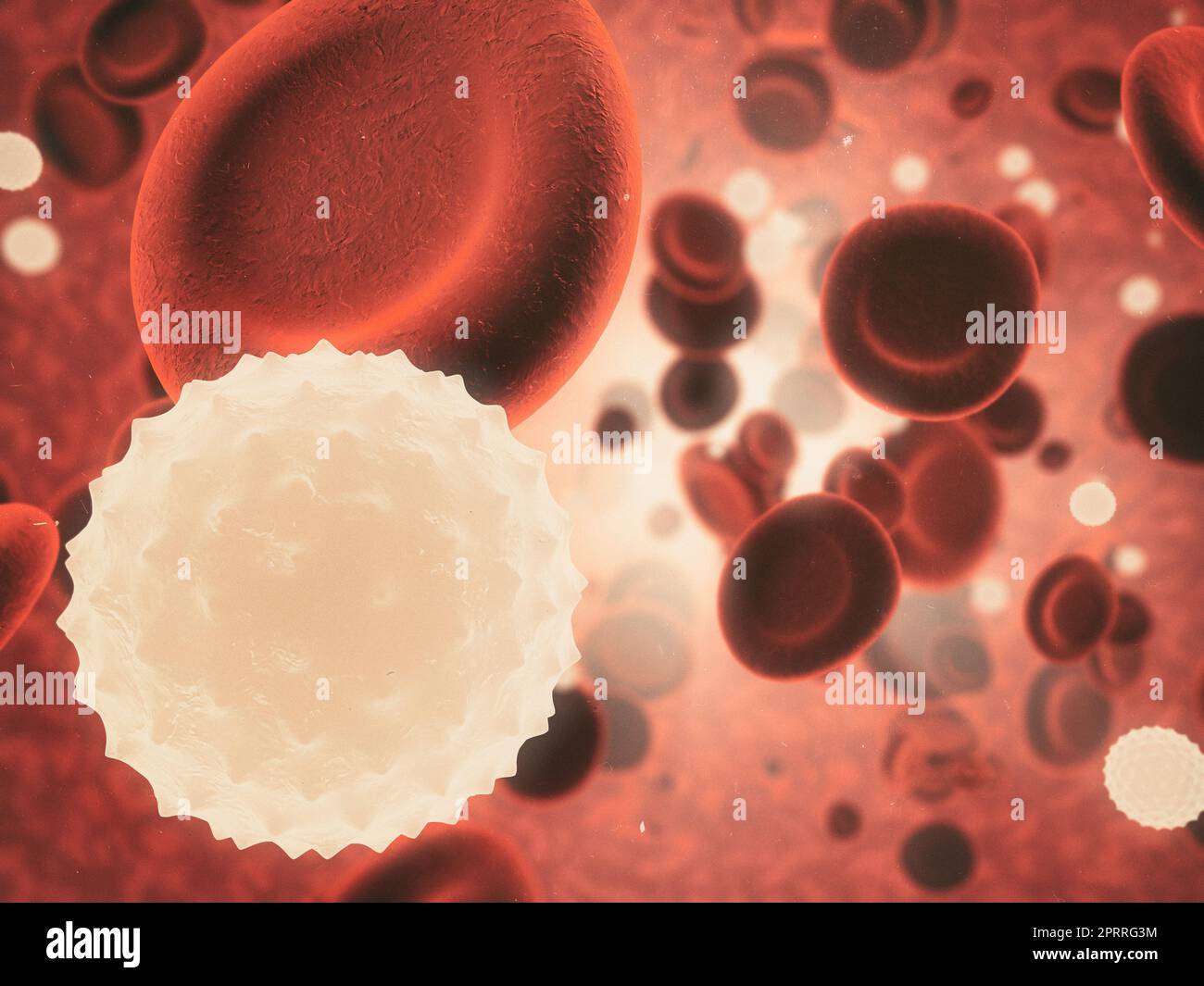Im menschlichen Körper. Mikroskopische Ansicht eines Virus, der gesunde Zellen im menschlichen Körper angreift. Stockfoto