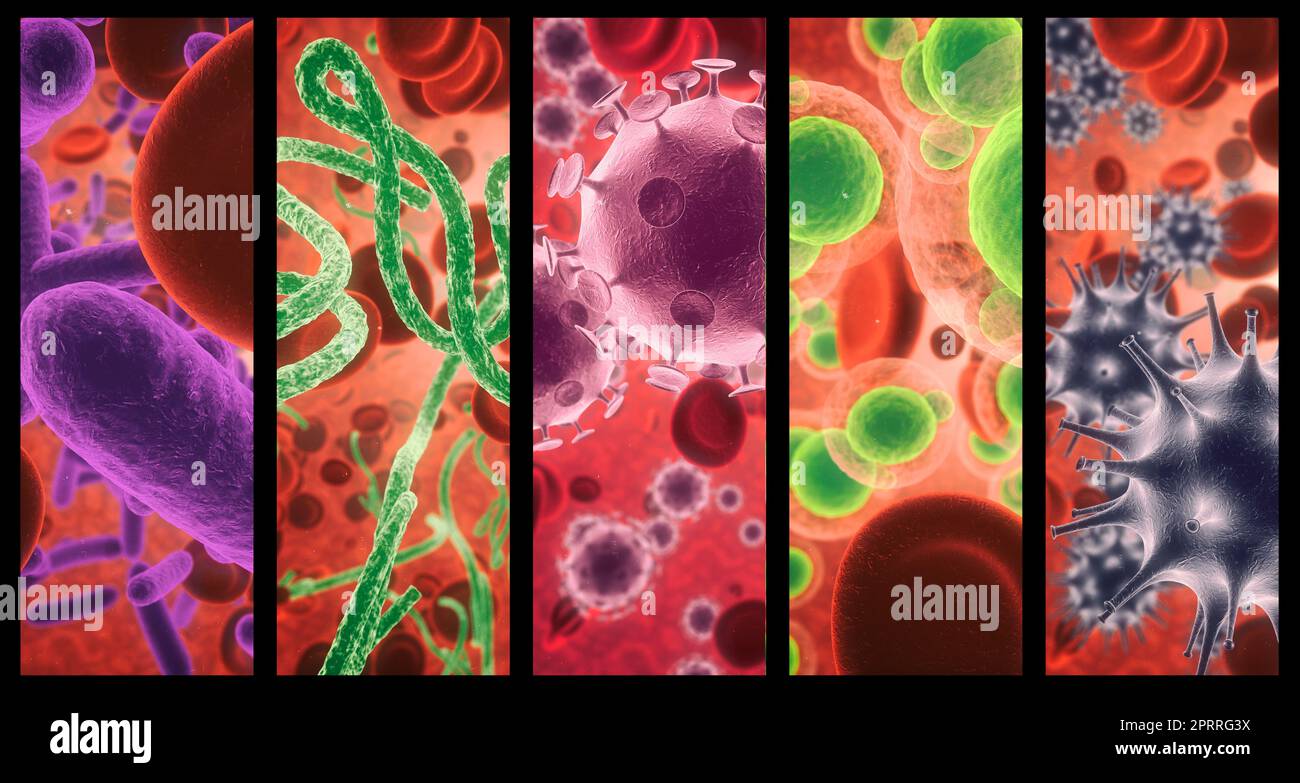 Der menschliche Körper versus das Virus. Ein kombiniertes Bild verschiedener Mikroorganismen, die unter einem Mikroskop in Farbe gesehen werden. Stockfoto