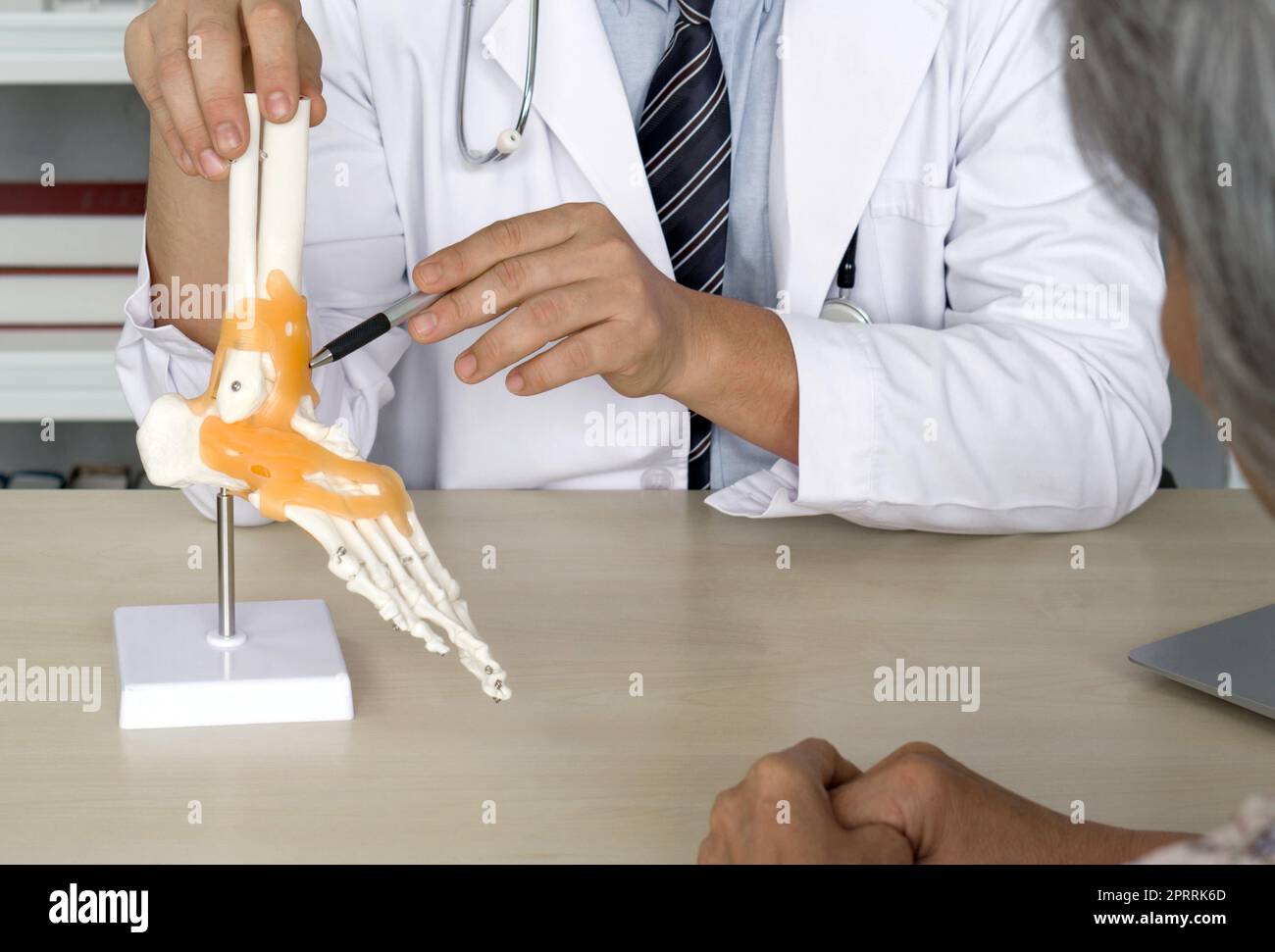 Orthopädischer Chirurg im weißen Kittel und Stethoskop, der auf das menschliche Skelett des Fußknöchelgelenkes zeigt, ein Modell für die Anatomie des Sprunggelenkes, dem älteren Patienten zur chirurgischen Behandlung des Sprunggelenks präsentiert. Stockfoto