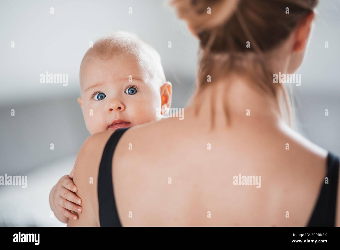 Porträt eines süßen Babys, das in den Armen der Mutter ruht, in die Kamera schaut, die Mutterschulter berührt. Neue mutter hält ein kleines Kind, umarmt das Kind mit Zärtlichkeit, Liebe, Fürsorge. Mutterschaftskonzept Stockfoto