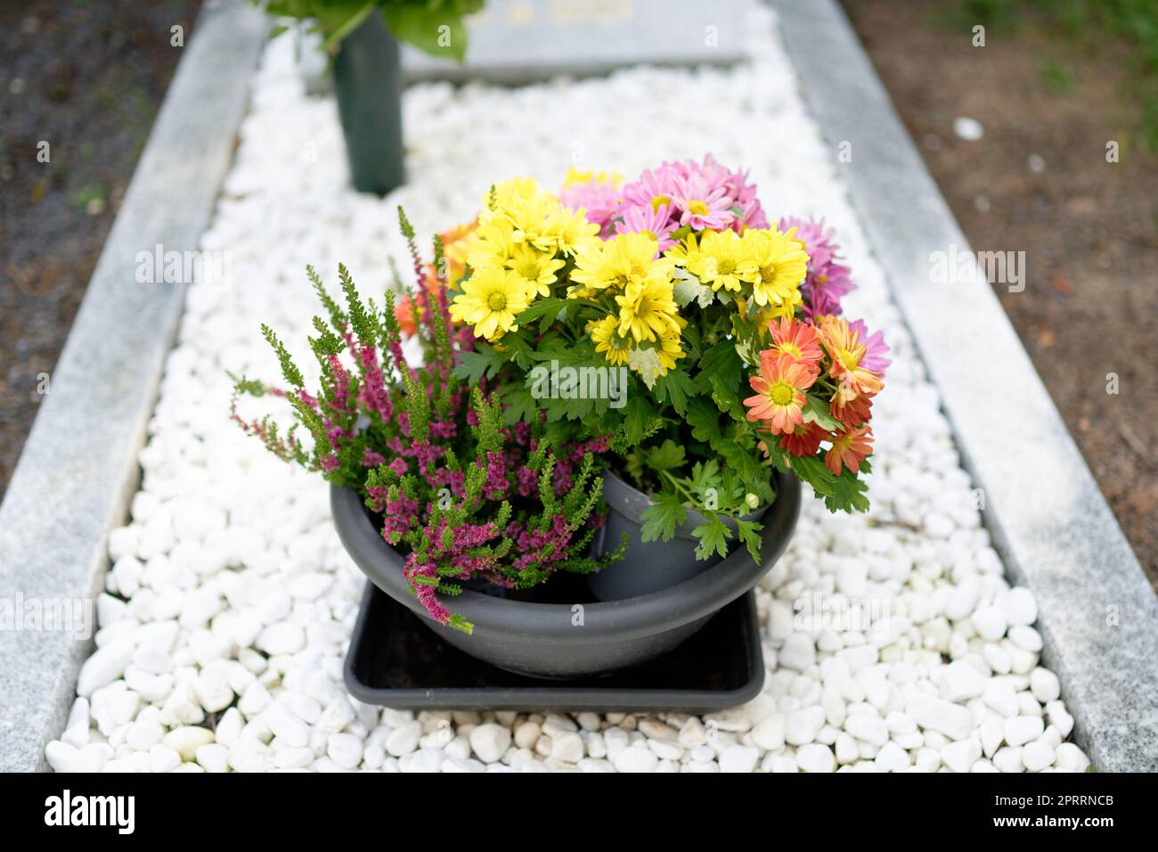 Eine kleine Schüssel mit verschiedenen Friedhofblumen auf einem Grab mit weißen Kieselsteinen Stockfoto