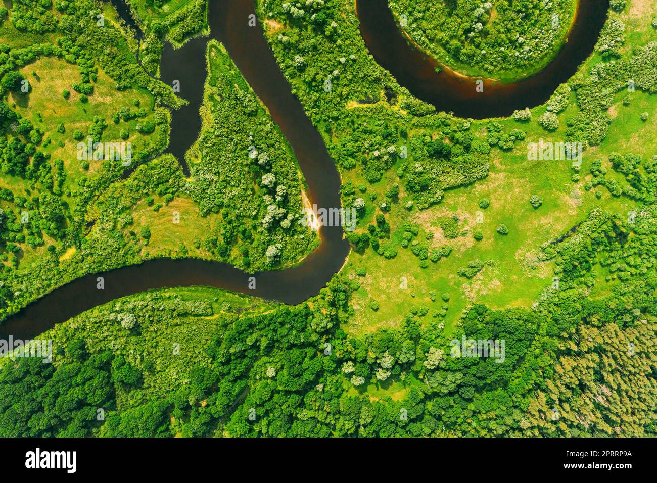 Luftaufnahme Der Sommerlichen Geschwungenen Flusslandschaft Am Sonnigen Sommertag. Top-Blick Auf Die Wunderschöne Europäische Natur Von High Attitude In Der Sommersaison. Drohnenansicht. Vogelperspektive. Stockfoto