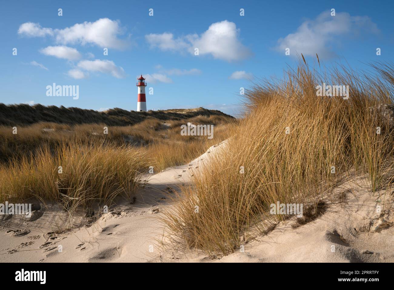 Panoramabild des Leuchtturms List East gegen blauen Himmel, Sylt, Nordfriesland, Deutschland Stockfoto