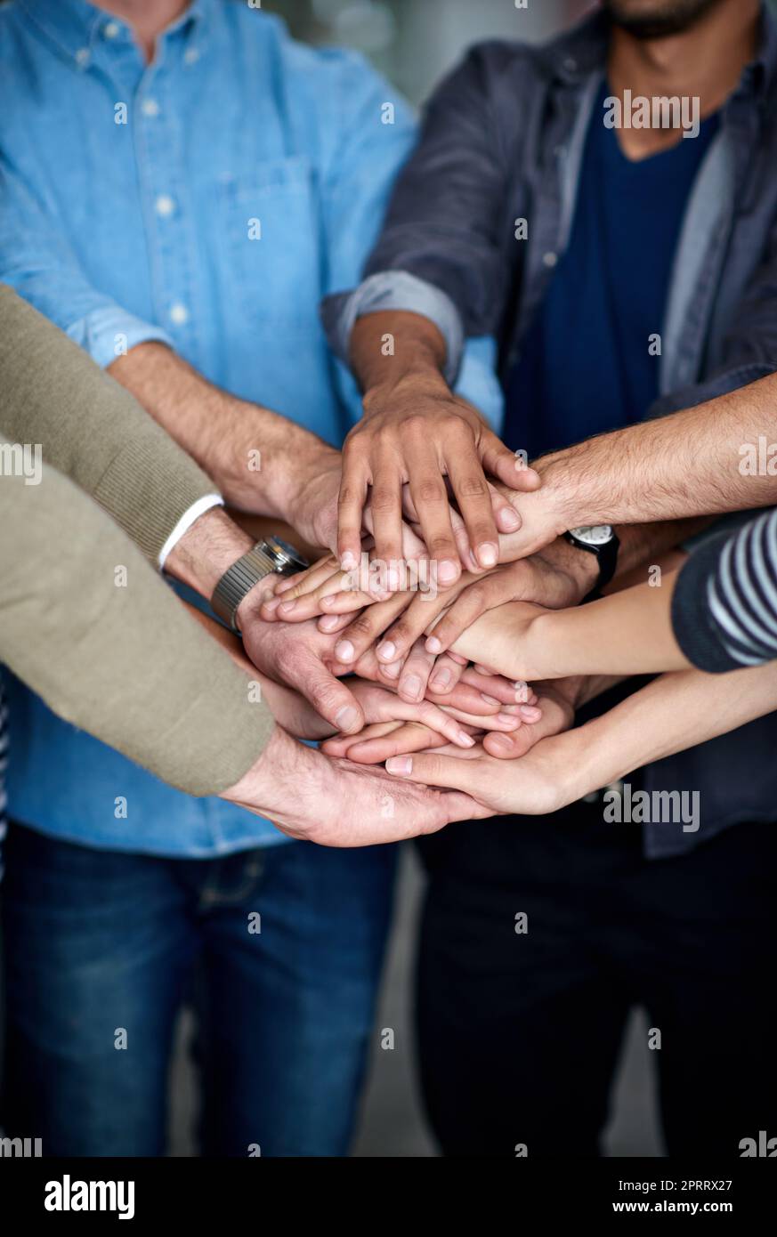Bringen Sie es ins Team. Beschnittene Ansicht einer multiethnischen Gruppe, die ihre Hände in Einheit zusammenlegt. Stockfoto
