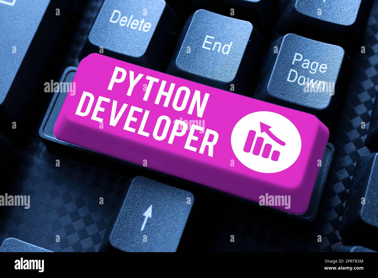 Sign zeigt Python Developer, konzeptionelles Foto verantwortlich für das Schreiben serverseitige Web-Anwendung Logik Stockfoto