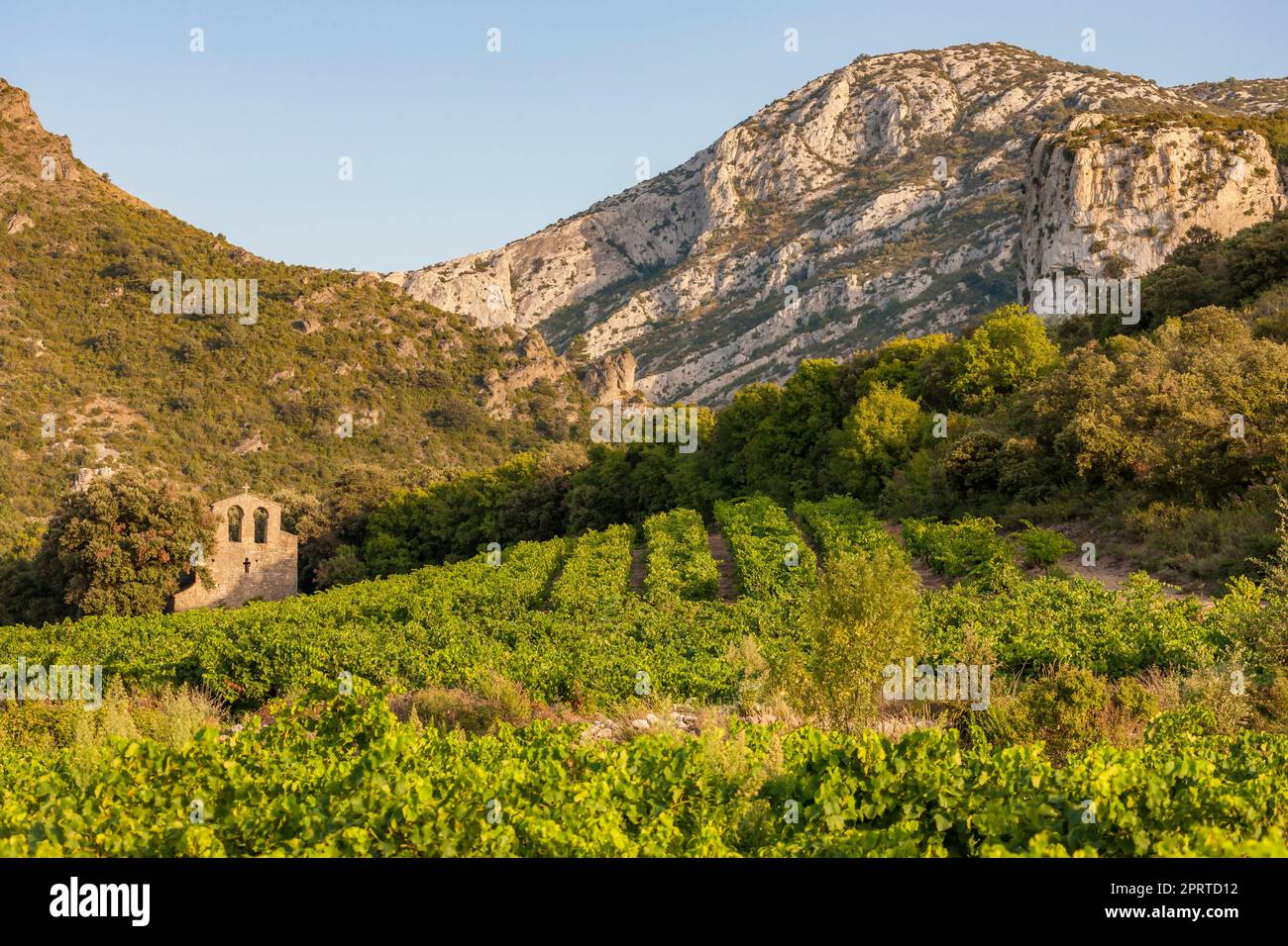 Weingüter in der Weinregion Languedoc-Roussillon, Roussillon, Frankreich Stockfoto