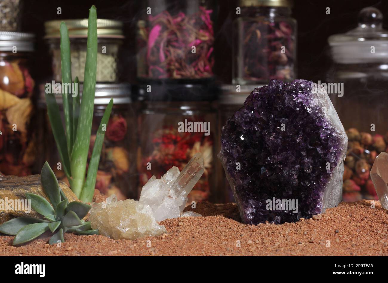 Amethyst Crystal mit Quartz Crystal und Aloe Vera Plant Stockfoto