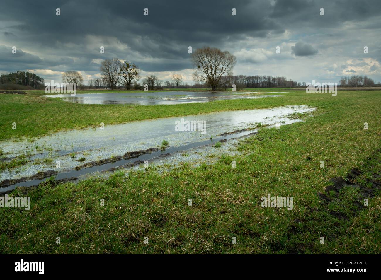 Wasser auf der Wiese und der wolkige Himmel Stockfoto