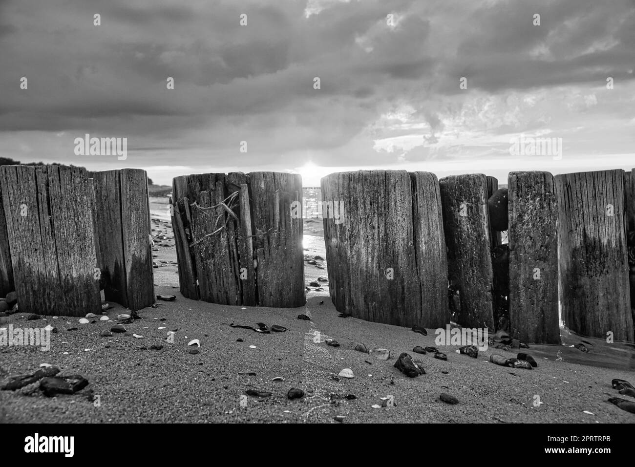 In Schwarz und Weiß rammen die Groynen bei Sonnenuntergang ins Meer. Strand mit Steinen Stockfoto