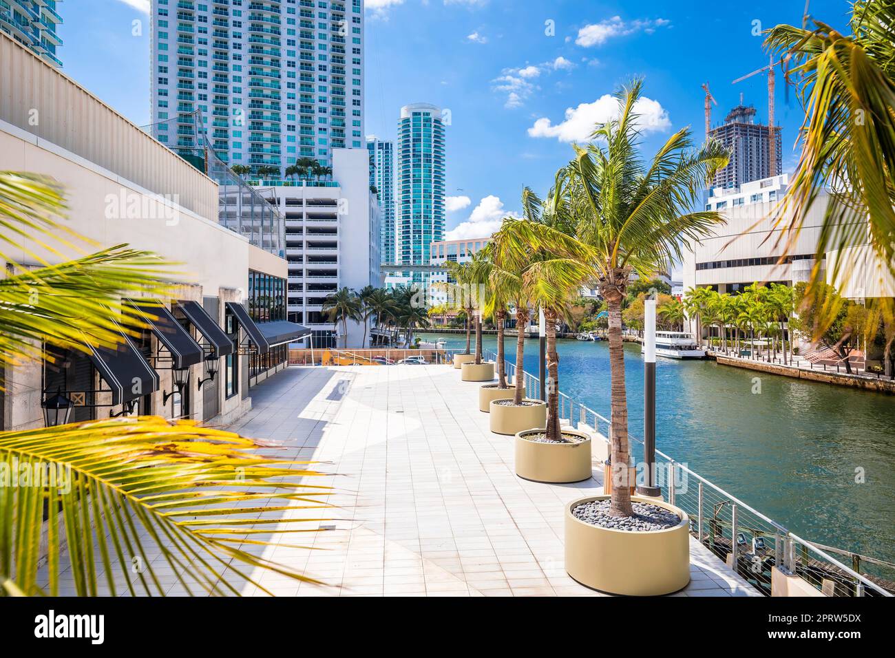 Blick auf die Wolkenkratzer am Ufer des Miami River Stockfoto
