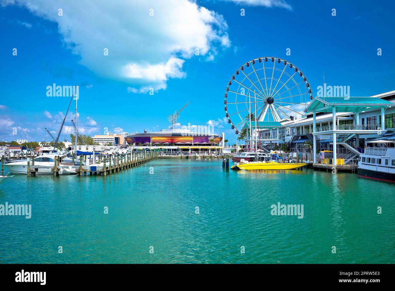 Blick auf den Hafen von Miami und das Riesenrad Stockfoto