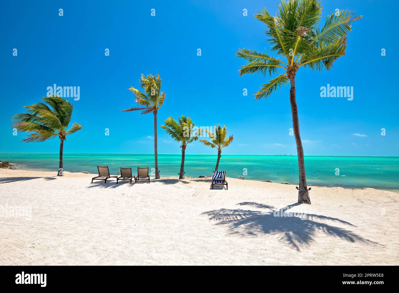 Idyllischer weißer Sandstrand in Islamorada auf den Florida Keys Stockfoto