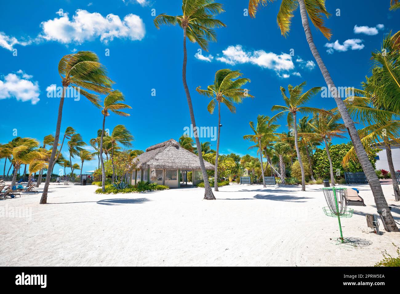 Idyllischer weißer Sandstrand in Islamorada auf den Florida Keys Stockfoto