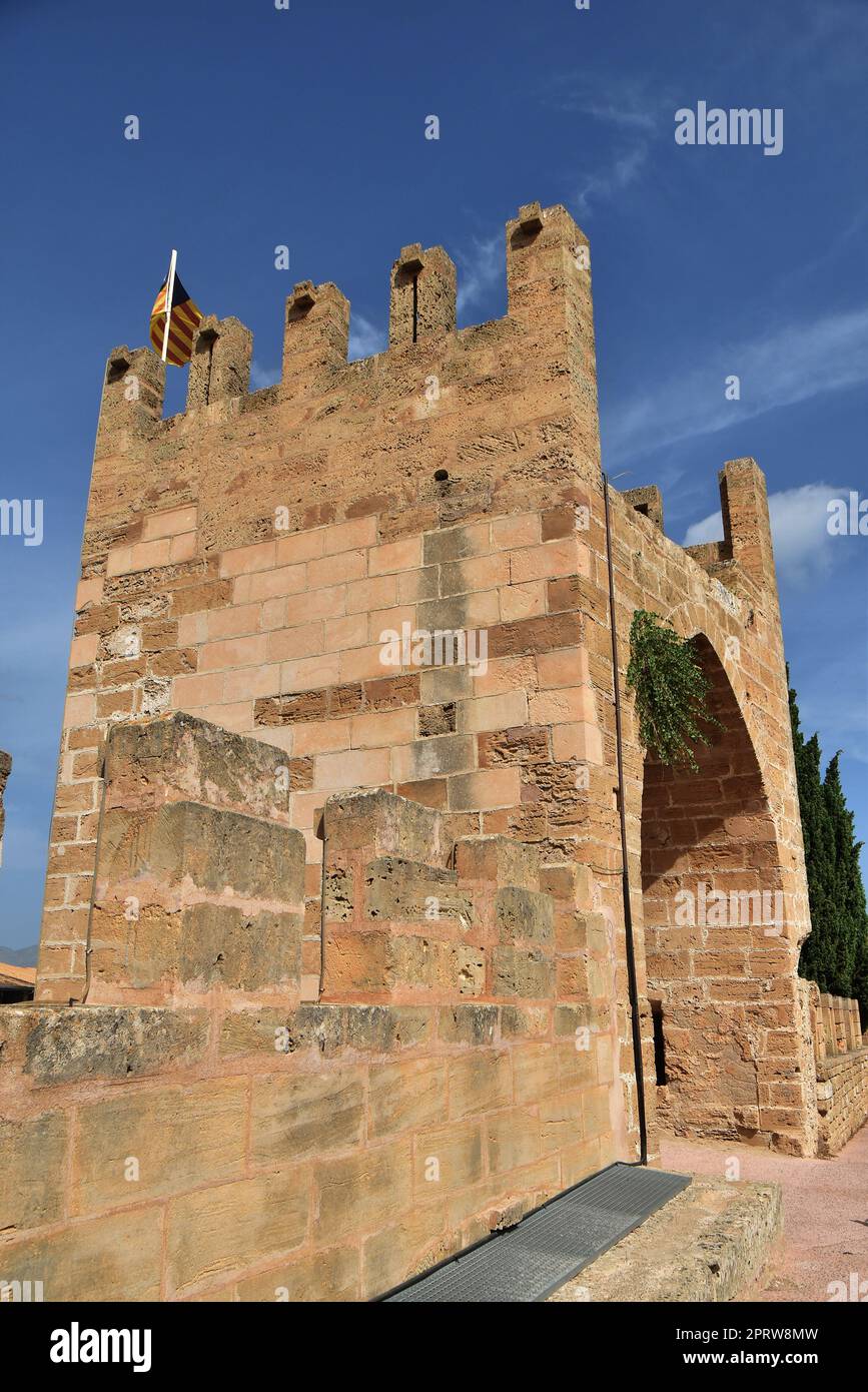 Stadtmauer mit Stadtturm von Alcudia auf Mallorca Stockfoto