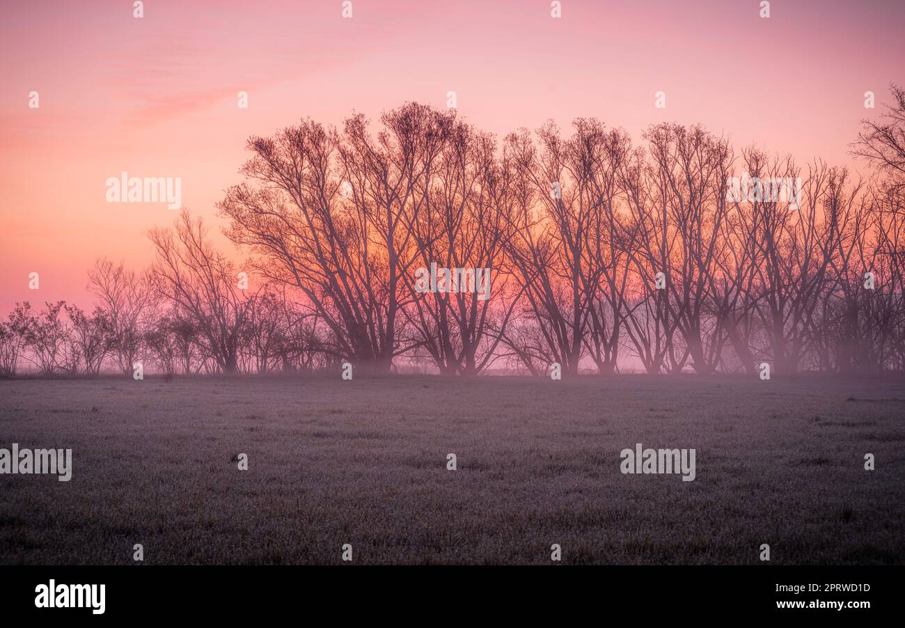 Goldener Sonnenaufgang mit Nebel am Fluss im März Stockfoto