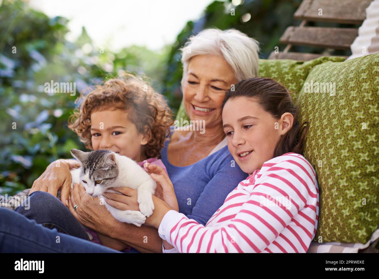 Eine Frau und ihre Enkel streicheln eine Katze, während sie sich im Hof entspannen. Stockfoto