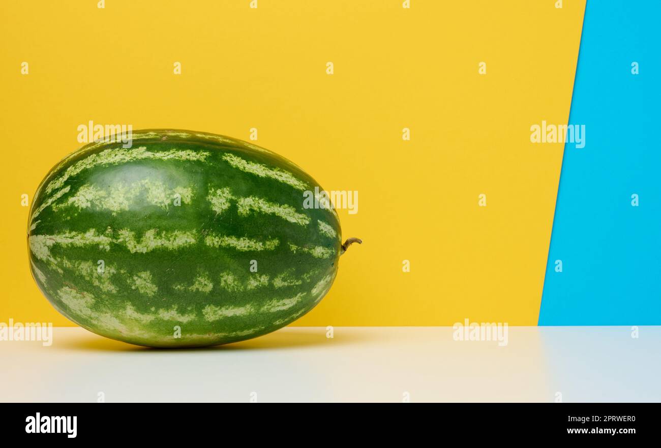 Runde gestreifte grüne Wassermelone auf gelb-blauem Hintergrund. Stockfoto