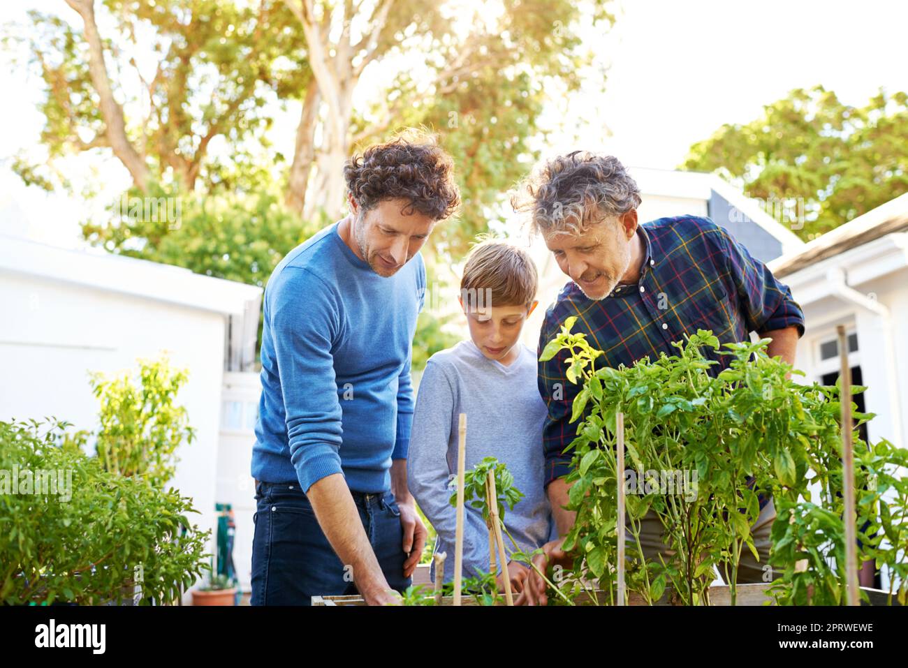 Die Männer der Familie lieben Gartenarbeit. Ein kleiner Junge, der mit seinem Vater und Großvater im Garten arbeitet. Stockfoto