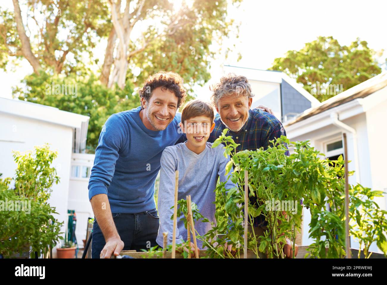 Drei Generationen von Gärtnern. Porträt eines Jungen, der mit seinem Vater und Großvater im Garten arbeitet. Stockfoto