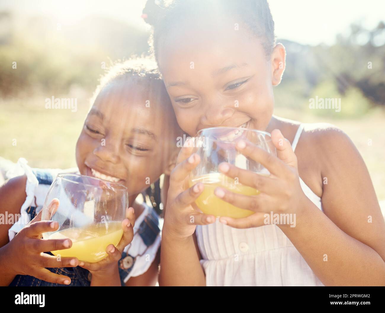 Saft, Kinder und glückliche Geschwister auf einem Picknick in fröhlicher Pflege und ein Lächeln in der Natur im Urlaub. Schwarze Kinder in gesunder Lebensweise mit Lächeln, die Vitamin C-Früchte im Freien trinken Stockfoto