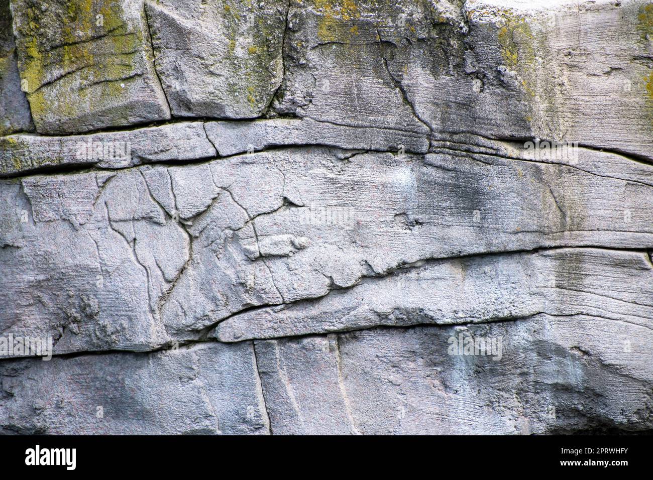 Künstliche graue Felswand mit Rissen und Moos überwuchert Stockfoto