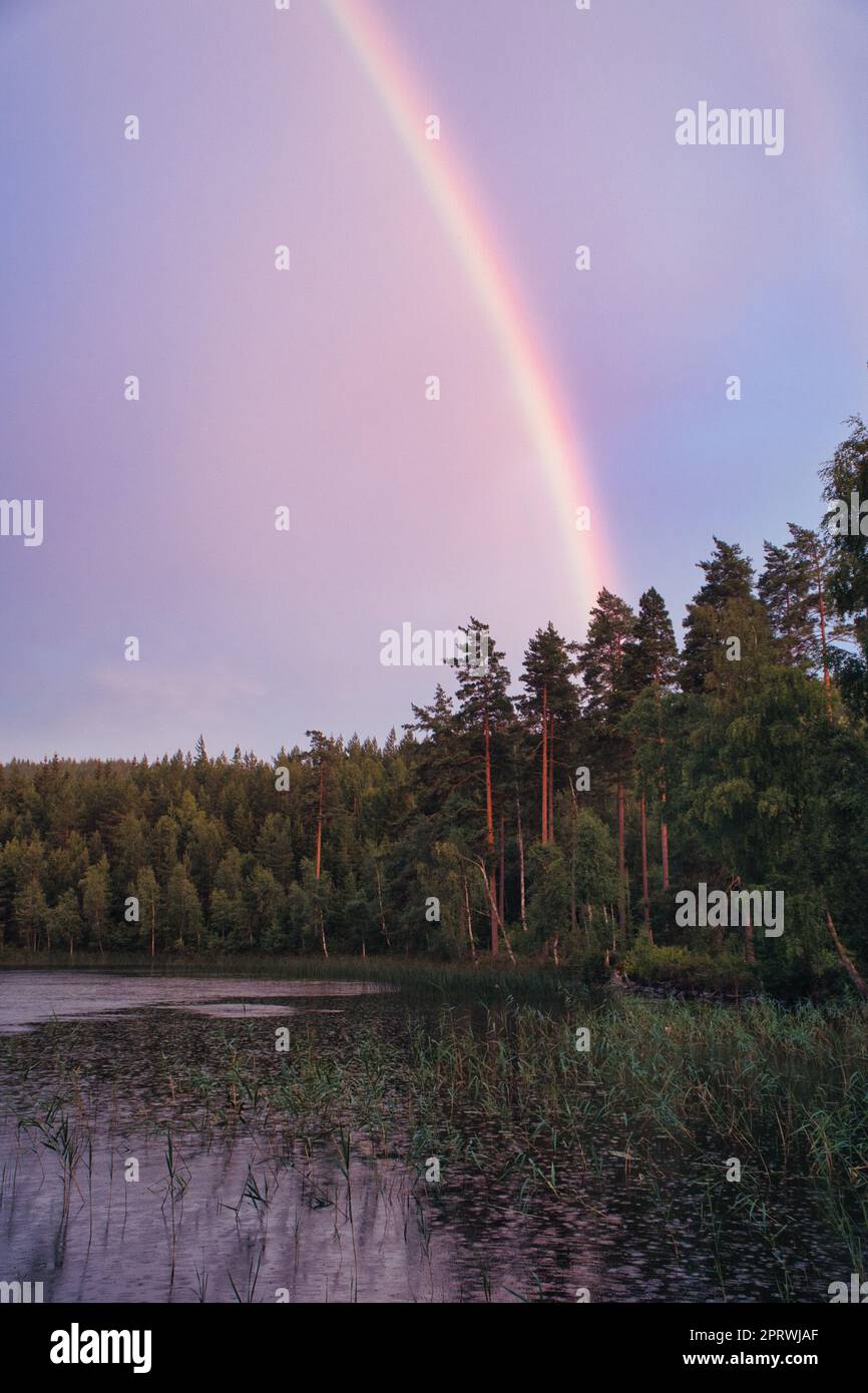 Regenbogen spiegelte sich im See, wenn es regnet. Naturfotos aus Schweden Stockfoto