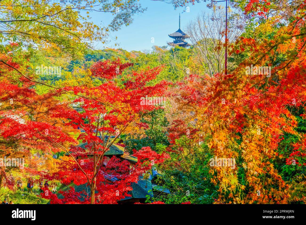 Herbstblätter und eine fünfstöckige Pagode des Bildes Stockfoto