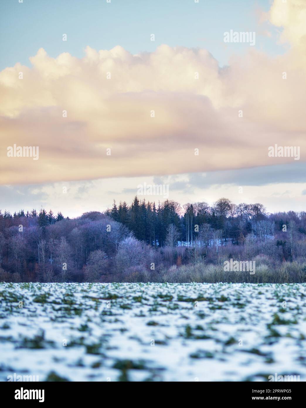 Winter - Land in Dänemark. Winterlandschaft an einem sonnigen Tag mit blauem Himmel. Stockfoto