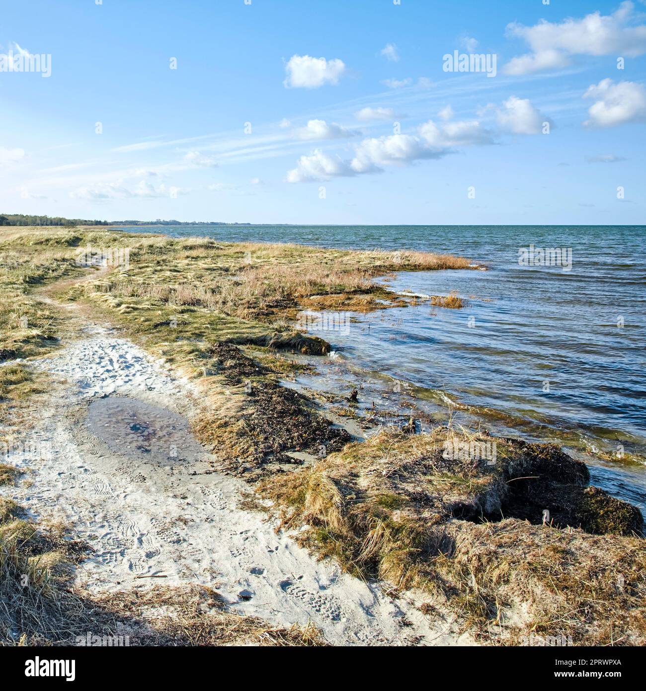 Die Ostküste von Jütland, Dänemark. Naturfotos aus Dänemark. Stockfoto