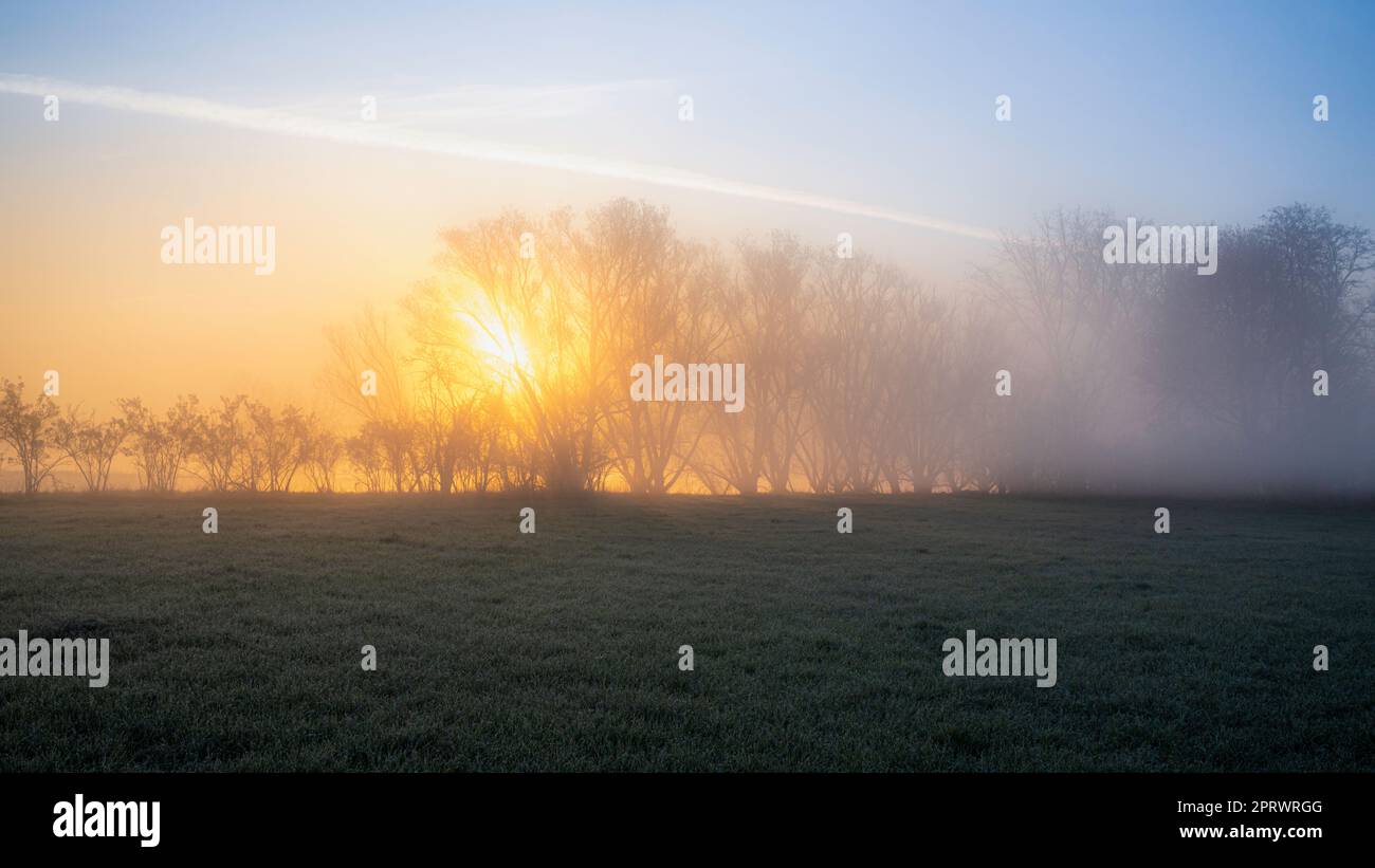 Goldener Sonnenaufgang mit Nebel am Fluss im März Stockfoto
