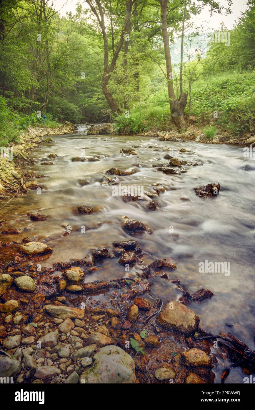 Wasserfälle im Wald Stockfoto