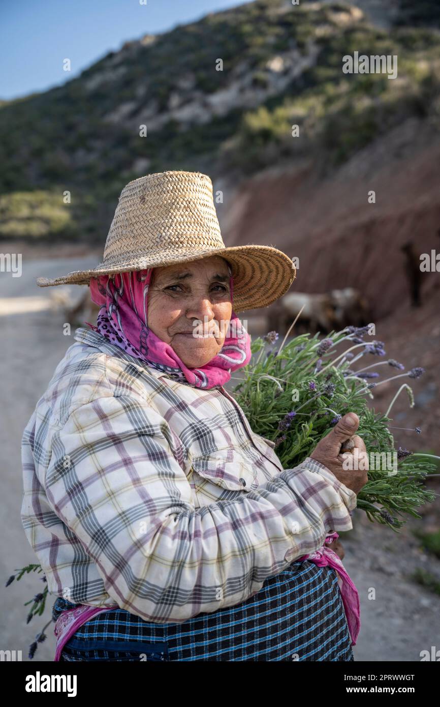 Porträt einer marokkanischen Schäferin mit Strohhut, die Kräuter sammelt. Stockfoto