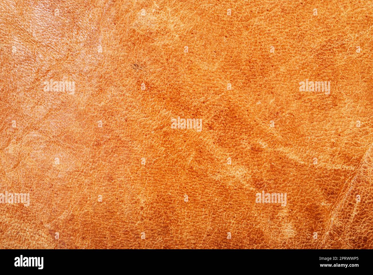 Naturleder Textur Hintergrund Stockfoto