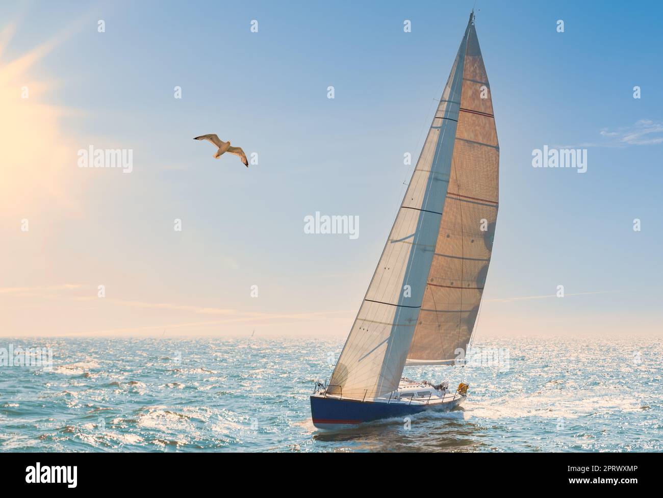 Sportsegler auf dem offenen Meer gegen das Licht Stockfoto