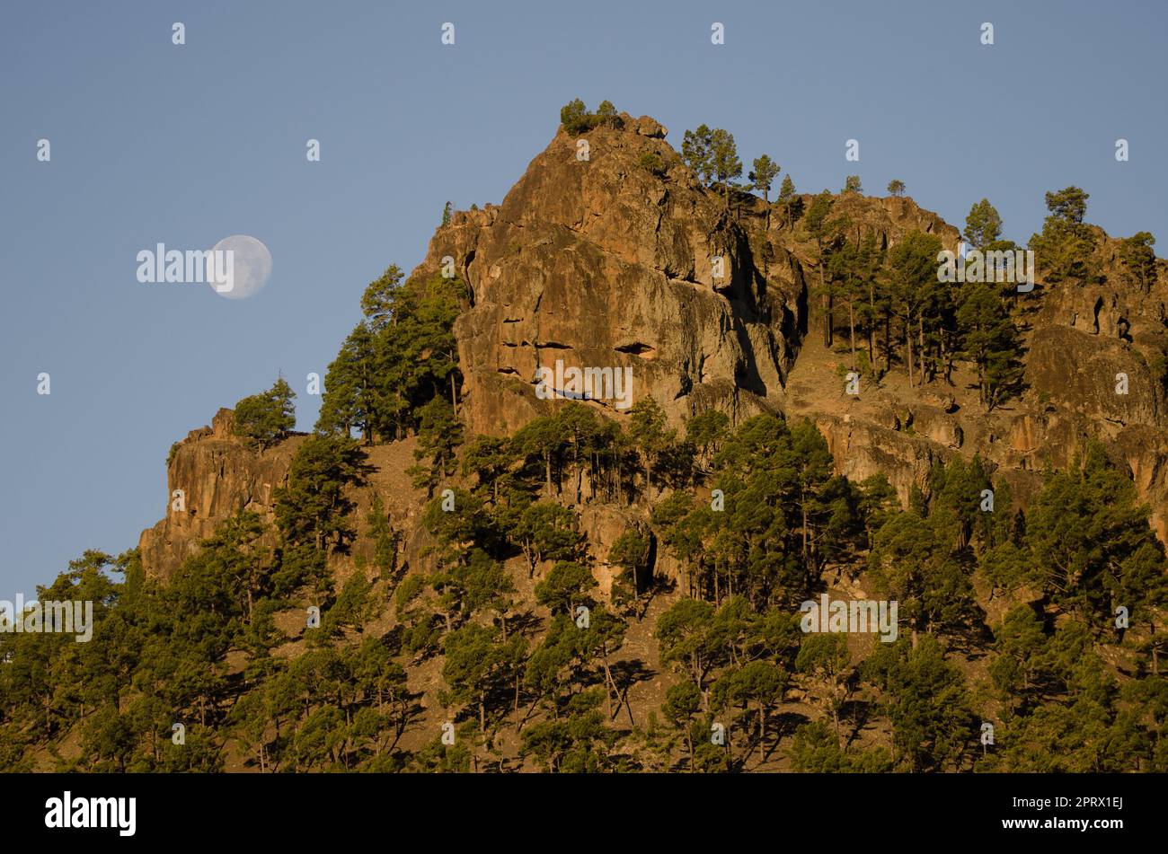 Mond neben der Morro de La Negra Klippe. Stockfoto