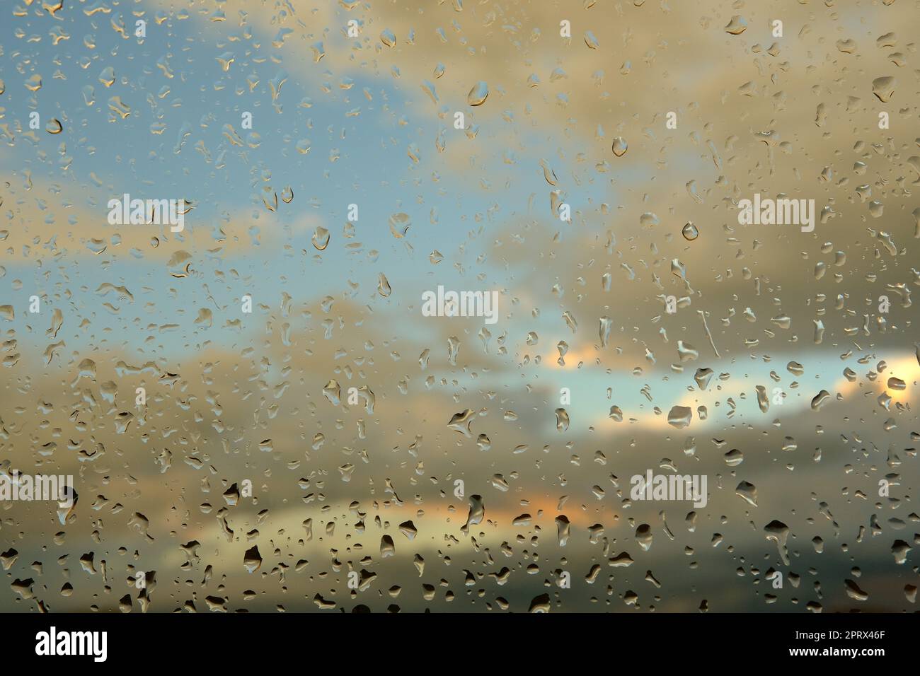 Wassertropfen auf dem Glas - abstrakter Hintergrund, Grautöne Stockfoto