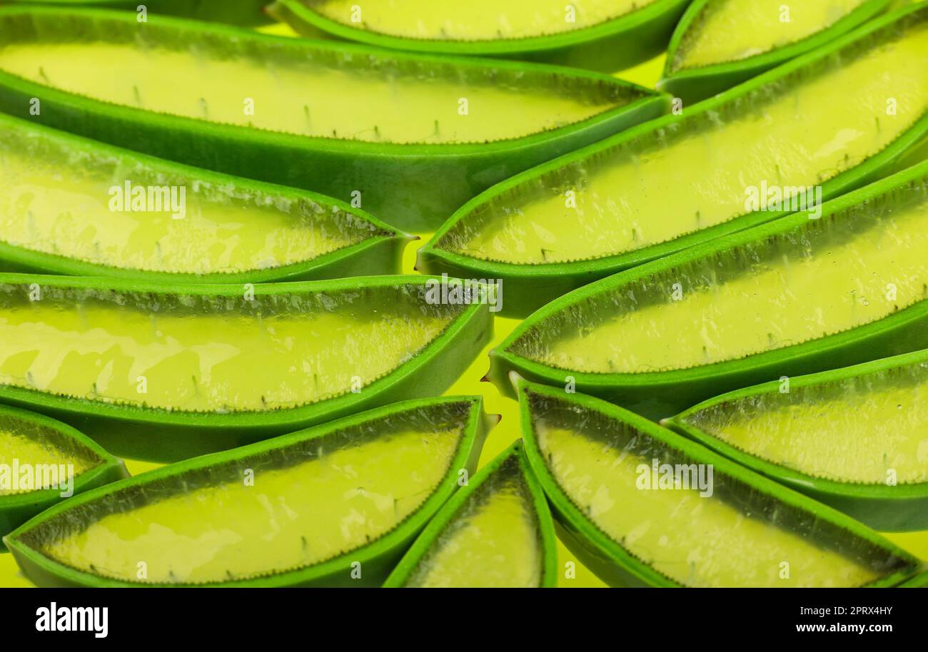 Hintergrund frischer grüner Aloe Vera-Scheiben Stockfoto