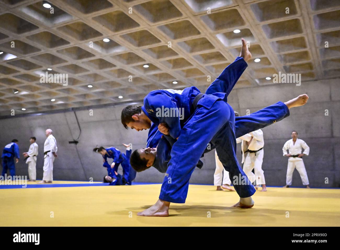 Wilrijk, Belgien. 27. April 2023. Der belgische Karel Foubert wird während eines Pressezeitpunkts von Judo Vlaanderen vor der Judo-Weltmeisterschaft in Doha (7.-14. April 05) im Stedelijk Lyceum Topsport in Wilrijk, Antwerpen, Donnerstag, den 27. April 2023, gezeigt. BELGA PHOTO DIRK WAEM Credit: Belga News Agency/Alamy Live News Stockfoto