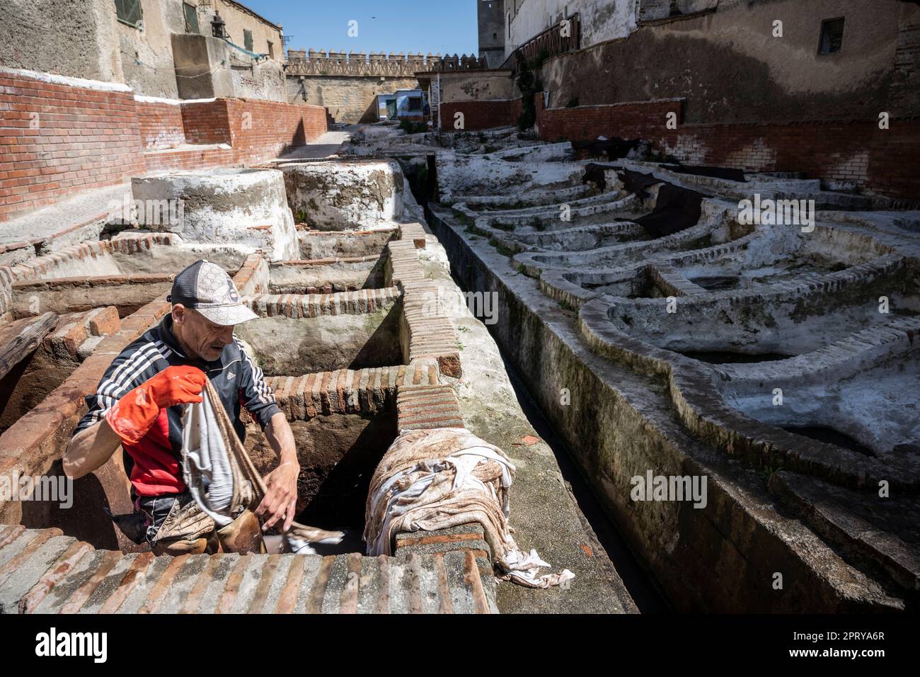 Arbeiter in den Gerbereien von Tetouan, der in einem Becken Haut zum Bräunen handhabt. Stockfoto