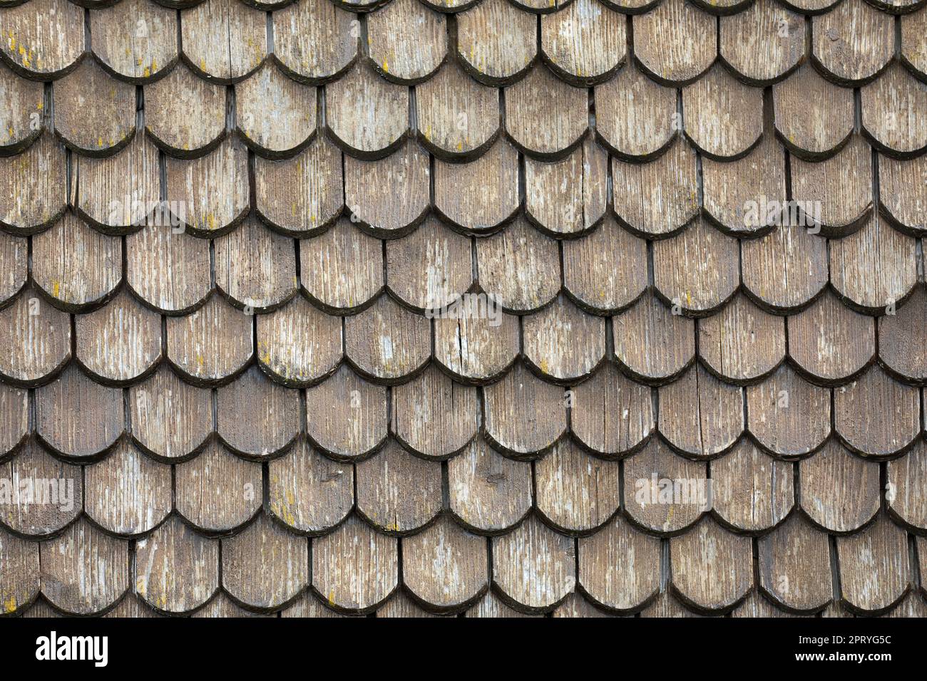 Dachziegel aus Holz Stockfoto