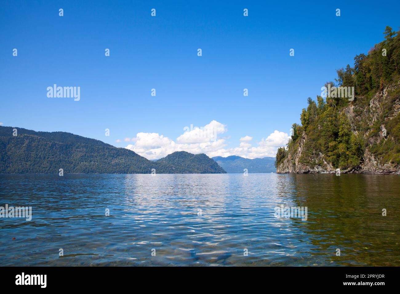 Teletskoye See. Ein Foto der sibirischen Landschaft, das an einem sonnigen Sommertag aufgenommen wurde Stockfoto