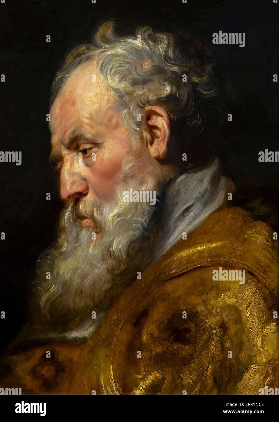 Eine Studie eines Kopfes, Sir Peter Paul Rubens, um 1616-1617, Stockfoto