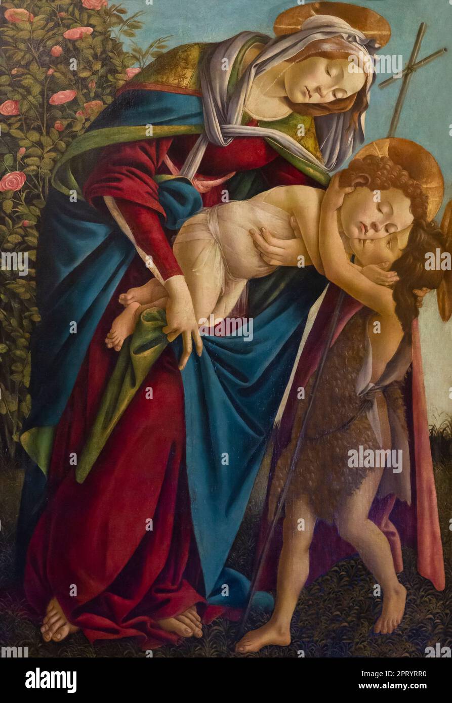 Madonna mit Kind und den Jugendlichen der hl. Johannes der Täufer, Sandro Botticelli, 1495, Galerie Palatina, Palazzo Pitti, Palazzo Pitti, Florenz, Toskana, Italien, Stockfoto