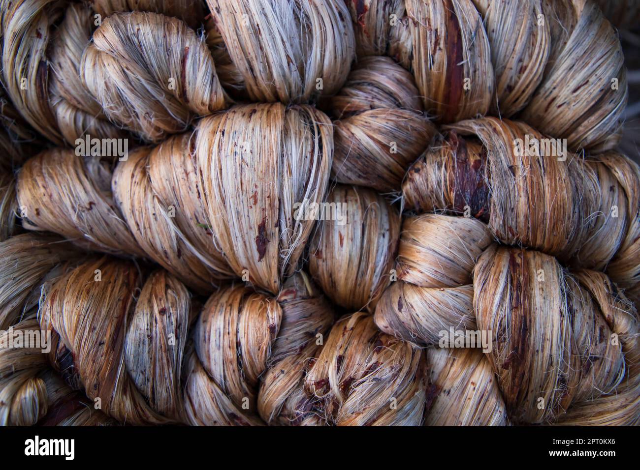 Dickes goldenes Paket nasser roher Jute-Faser-Textur Hintergrund Stockfoto