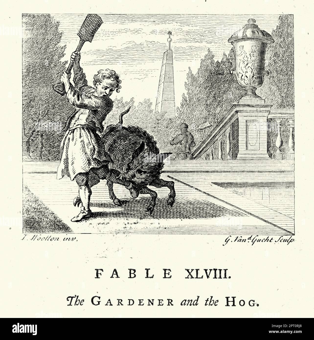 Vintage-Illustration Fabel des Gärtners und des Schweines, Wildschwein greift einen Mann in einem Garten an, 18. Jahrhundert. Aus den Märchen von John Gay Stockfoto