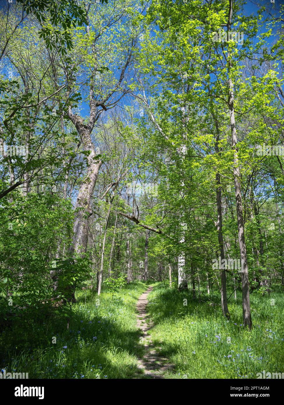 Graham Cave State Park Stockfoto Graham Cave State Park Stockfoto